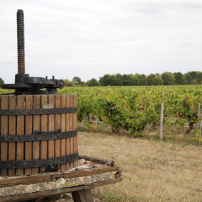 Harvest 2019